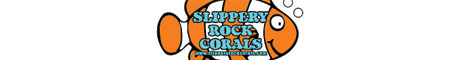 Slipperyrockcorals